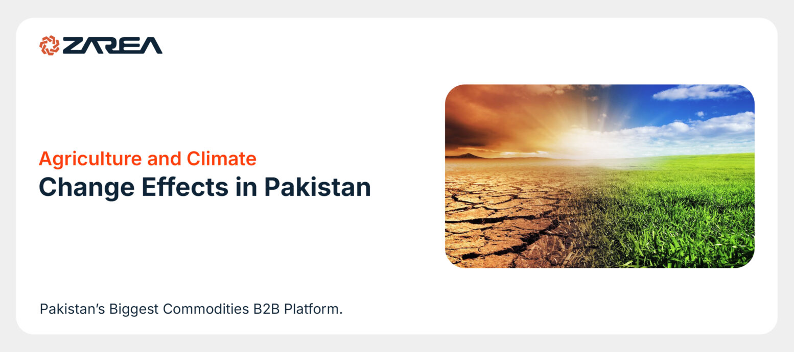Agriculture and Climate Change Effects in Pakistan